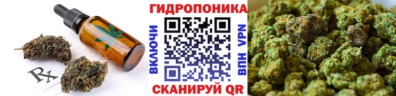 Купить где Безенчук Cannafood конопля