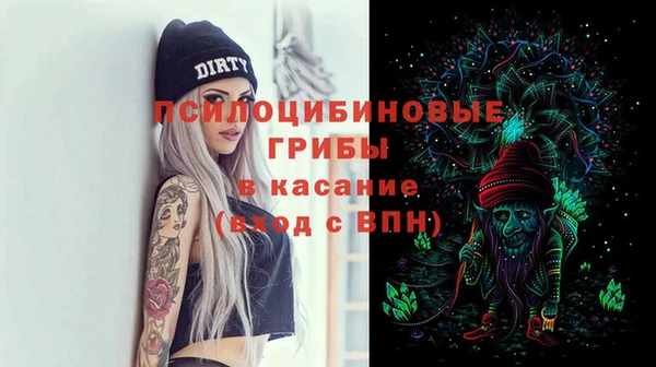 ешки Дмитров