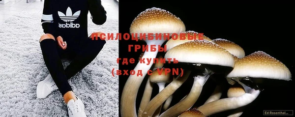 кристаллы Дмитриев